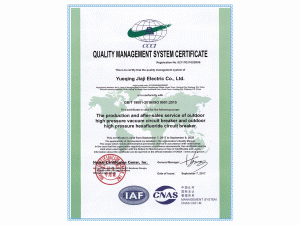 质量管理体系证书ISO9001英文版